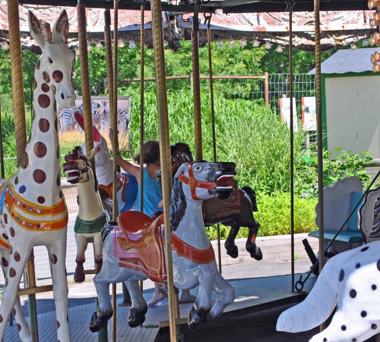 Zoo Carousel (Dorchester,&nbspMA)